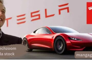 fintechzoom tesla stock